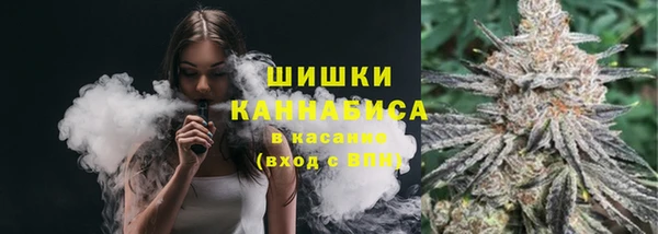 PSILOCYBIN Кулебаки