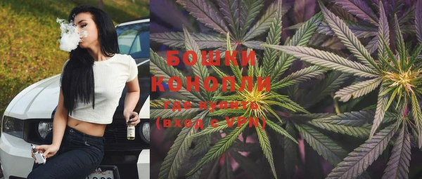 PSILOCYBIN Кулебаки