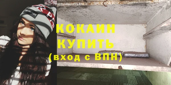 PSILOCYBIN Кулебаки
