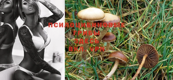 PSILOCYBIN Кулебаки